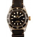 Imitation Tudor Heritage Black Bay 79733N WE04420