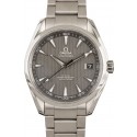 Omega Aqua Terra WE01662