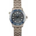 Omega Seamaster Diver 300M Grey Wave WE00996