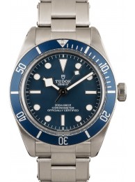 Tudor Black Bay WE01122