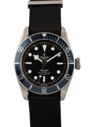 Tudor Heritage Black Bay 79220 Blue Bezel 41MM WE02114