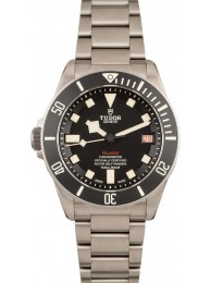 Tudor Pelagos 25610TNL Titanium WE02042